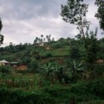 11 morts bilan provisoire au  village de Ngohi situé dans le territoire de Lubero  lors de la  nouvelle attaque des terroristes islamistes d’ADF