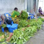 Les vendeuses des légumes de la ville de Bukavu font face à une crise économique déstabilisante due à la situation sécuritaire actuelle.
