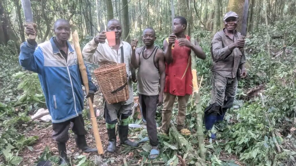 L’Agroécologie : Un Pilier de Résilience et de Conservation à l’Est de la RDC