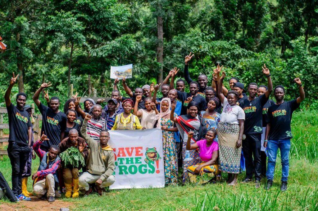 Journée mondiale de la sauvegarde des grenouilles l’organisation Our Heath Organization   s’engage pour leur protection  afin d’équilibrer la biodiversité
