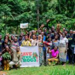 Journée mondiale de la sauvegarde des grenouilles l’organisation Our Heath Organization   s’engage pour leur protection  afin d’équilibrer la biodiversité
