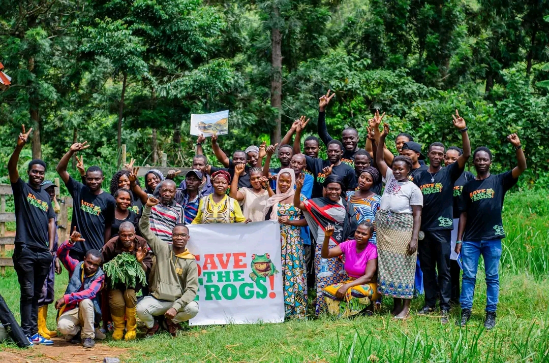 Journée mondiale de la sauvegarde des grenouilles l’organisation Our Heath Organization   s’engage pour leur protection  afin d’équilibrer la biodiversité