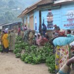 Masisi : des agriculteurs dépossédés de leurs récoltes en pleine crise sécuritaire