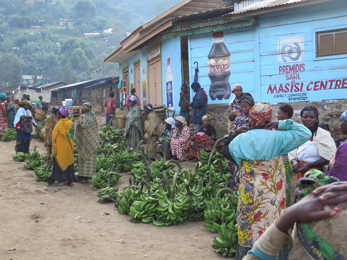 Masisi : des agriculteurs dépossédés de leurs récoltes en pleine crise sécuritaire