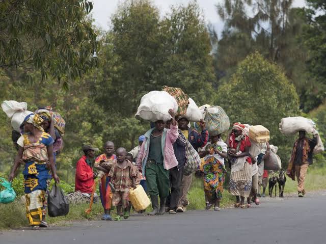Nord-Kivu : la détresse des déplacés après les affrontements début janvier, 2025