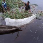 Idjwi : des moustiquaires transformées en filets de pêche menacent l’écosystème du lac Kivu