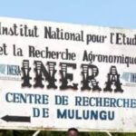 Sud-Kivu : Six personnes grièvement blessées lors d’une campagne de sensibilisation contre la déforestation à l’INERA Mulungu