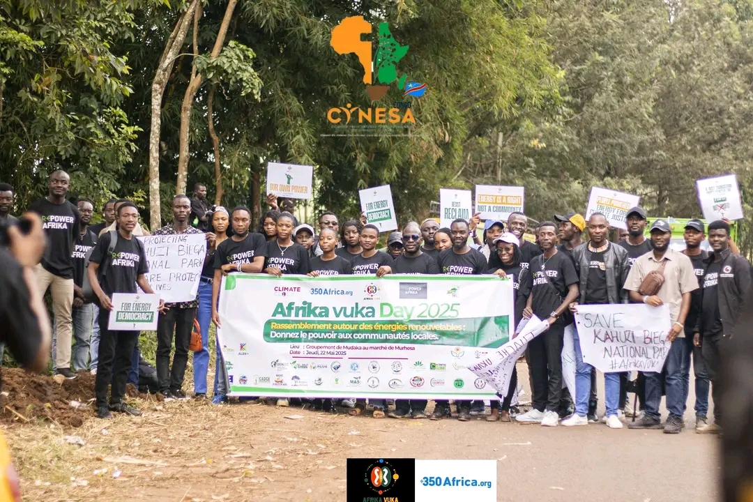 Sud-Kivu : Pour sauver le Parc de Kahuzi-Biega, les jeunes défenseurs d’environnement réunis au sein de la société civile environnementale ( ROJECF-RDC) dénoncent l’abattage d’arbres et proposent d’autres transitions énergétiques