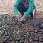 Sud-Kivu : Bijiro Kaberha, une voix verte enracinée dans la défense de l’environnement, plante des arbres pour la reforestation et lutte contre les feux de brousse qui détruisent l’habitat des petits mammifères