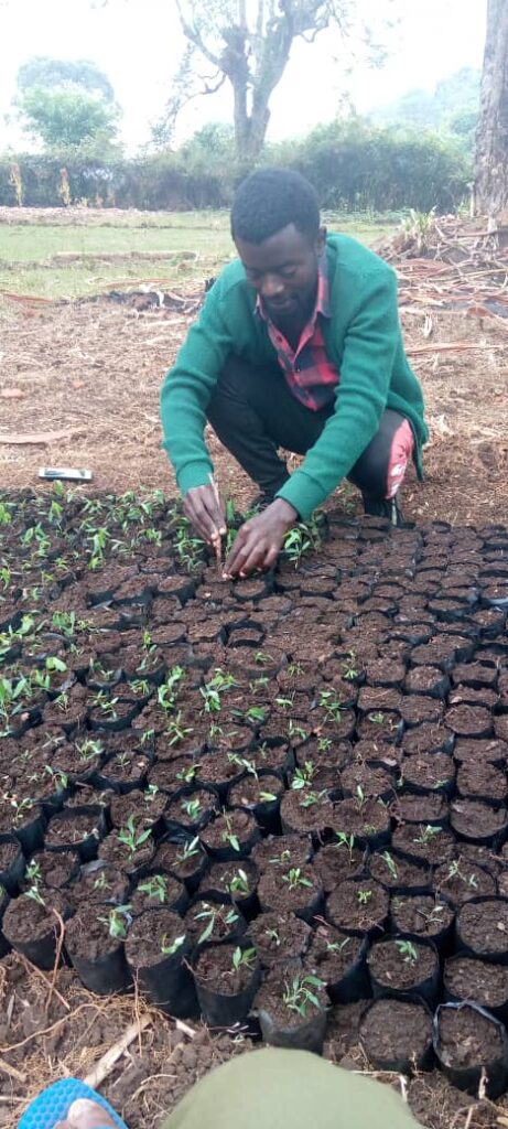 Sud-Kivu : Bijiro Kaberha, une voix verte enracinée dans la défense de l’environnement, plante des arbres pour la reforestation et lutte contre les feux de brousse qui détruisent l’habitat des petits mammifères