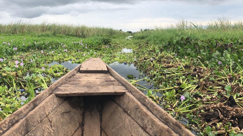 Face aux menaces écologiques, le  Réseau des organisations des jeunes engagés dans le changement climatique, conservation de la biodiversité, Zones humides et forêts ( ROJECF-RDC)   donne son plan d’action pour protéger les zones humides et sa biodiversité 
