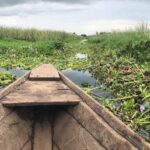 Face aux menaces écologiques, le  Réseau des organisations des jeunes engagés dans le changement climatique, conservation de la biodiversité, Zones humides et forêts ( ROJECF-RDC)   donne son plan d’action pour protéger les zones humides et sa biodiversité 