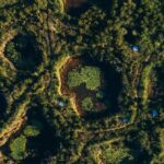 Journée internationale de la biodiversité : à agir en harmonie avec la nature, message des Organisations des Nations Unies 