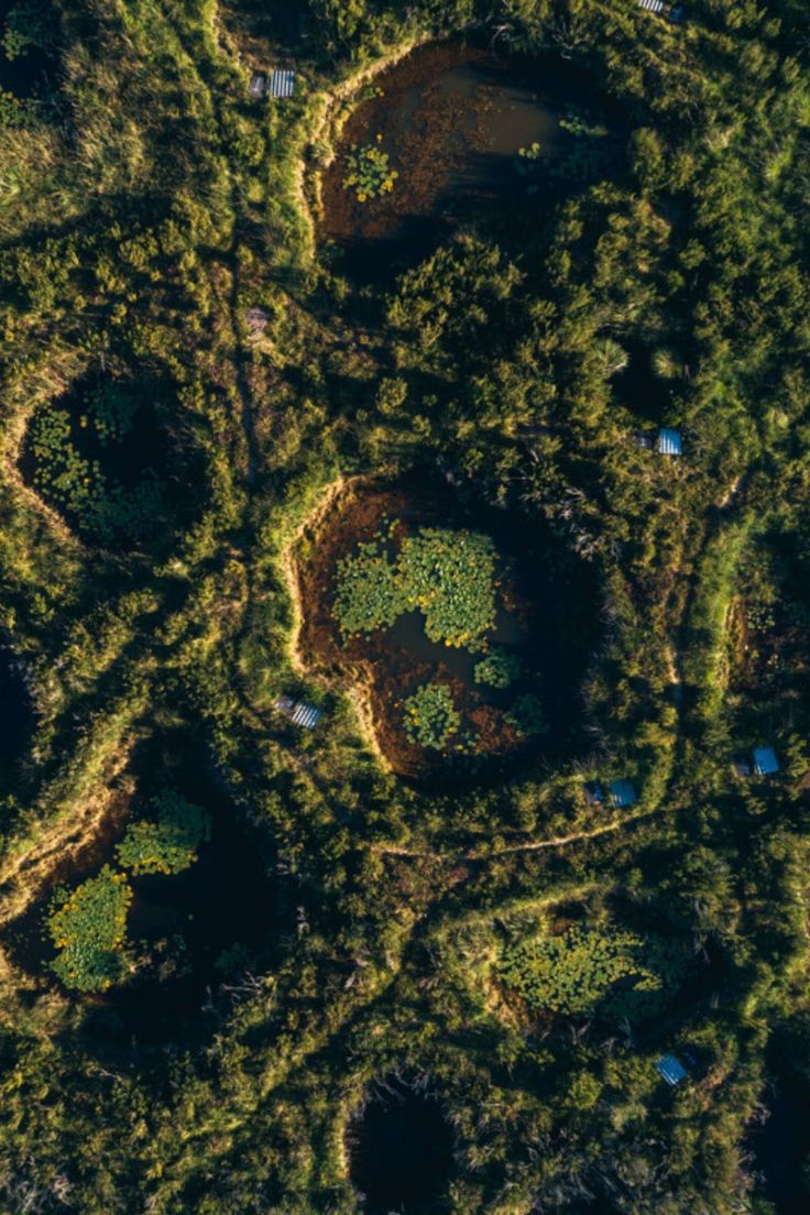Journée internationale de la biodiversité : à agir en harmonie avec la nature, message des Organisations des Nations Unies 