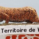 Crise Humanitaire L’ONG MEDAIR alerte sur l’accès difficile aux soins à Pinga, dans le territoire de Walikale