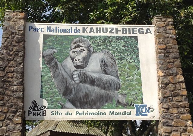 La SOCEARUCO regrette la réaction du Parc National de Kahuzi-Biega(PNKB) et appelle à un dialogue constructif