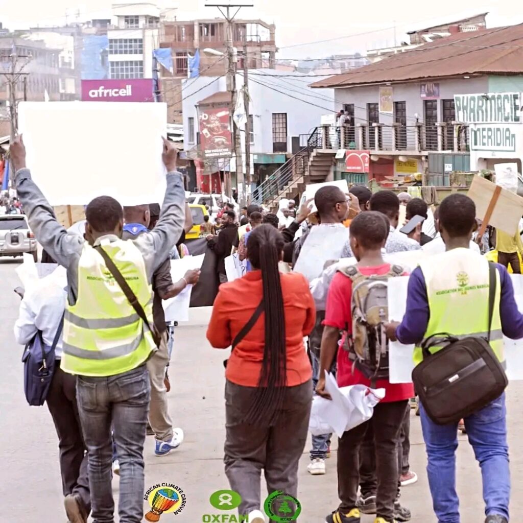 Entre enclavement dû aux politiques internes et image internationale de la RDC : adhésion des jeunes à l’activisme, recherche d’opportunités internationales et barrière linguistique (Étude menée  par l’organisation des droits humains et d’appui  à la bonne (Paixseulement, 2025)