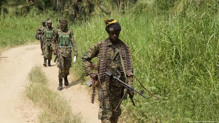 Paixseulement s’interroge : Nord-Kivu, quelle place pour l’agriculture et le développement socio-économique face aux crises sécuritaires ?